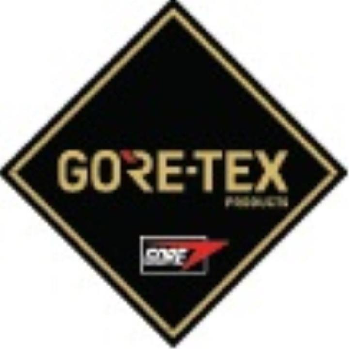 Actual product image Lowa Renegade Work II S3 GTX (S3, 40)