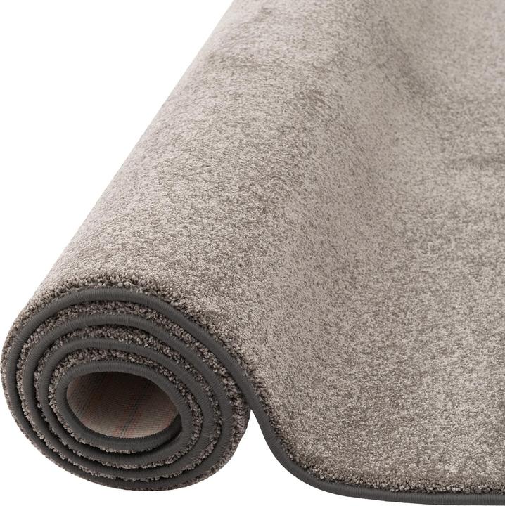 Produktbild Snapstyle Hochflor Luxus Velours Teppich Touch (200 x 250 cm)