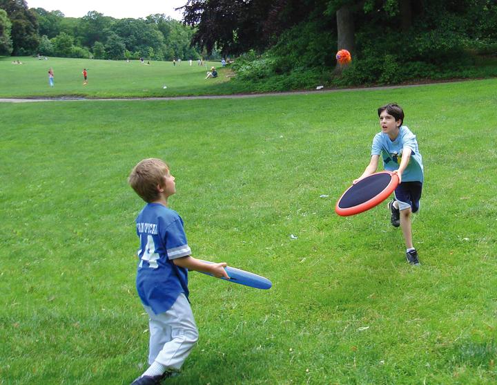 Actual product image Schildkröt Ogo Sport Set Mezo