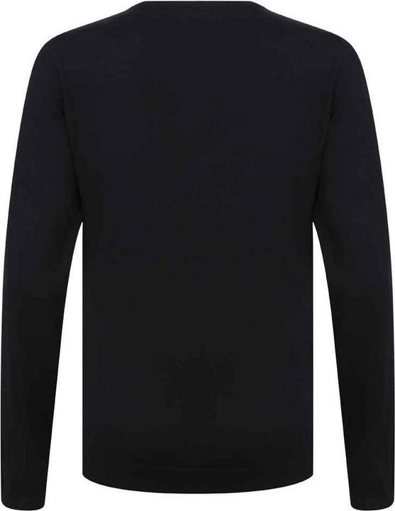 Actual product image Henbury Womens/Ladies Cotton Acrylic V Neck Sweatshirt (XXS)