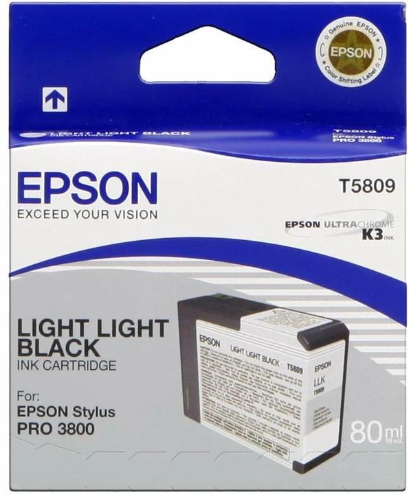 Actual product image Epson T5809 (FC, GY)