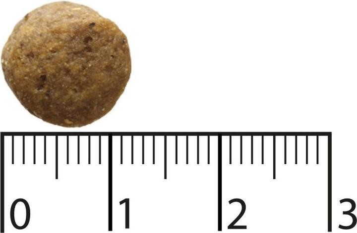 Immagine prodotto Bozita Cibo secco senza frumento per cani adulti Moose 11 kg (Adulto, 1 pz., 11000 g)