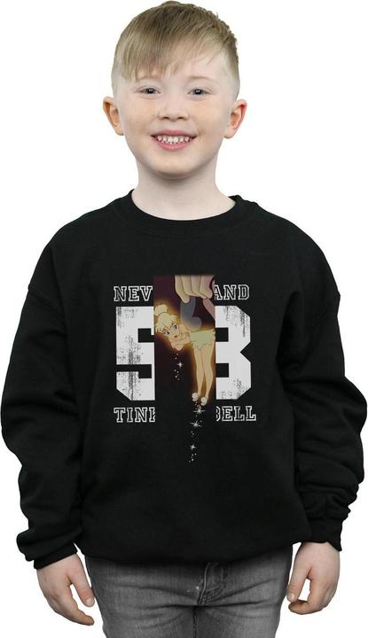 Actual product image Disney Boys Tinker Bell Neverland 53 Sweatshirt (140, 146)