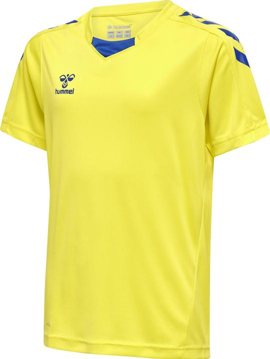 blazingyellowtrueblue