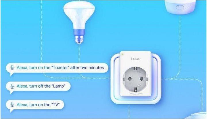 Actual product image TP-Link Tapo P100
