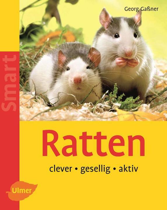 Produktbild Ratten (Deutsch, Regina Kuhn, Georg Gassner, 2006)
