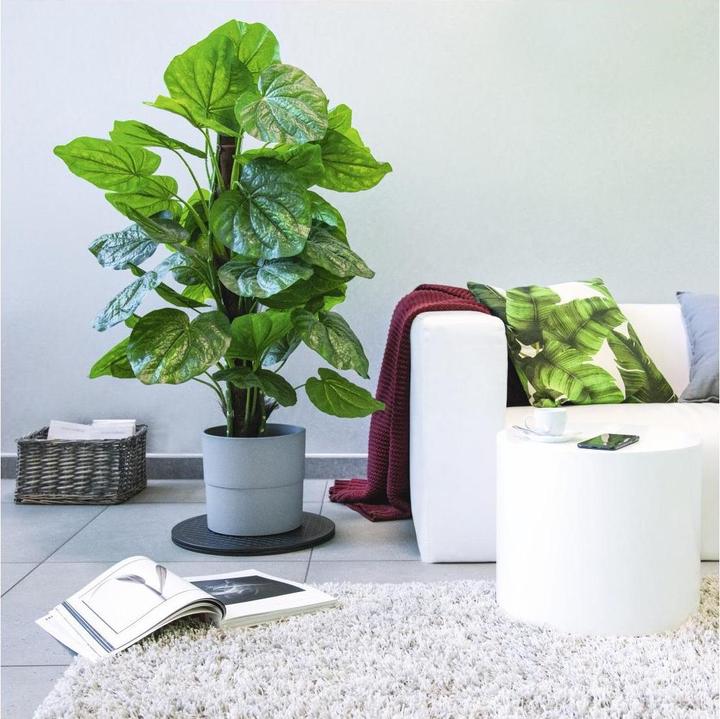 Produktbild Hama Universal-Drehteller XL