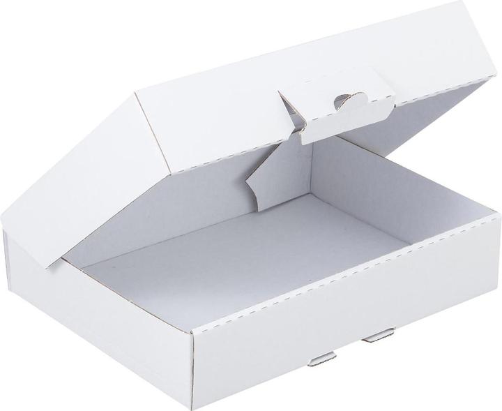Actual product image Brieger Hinged box (220 x 155 x 45 mm, 1 x)