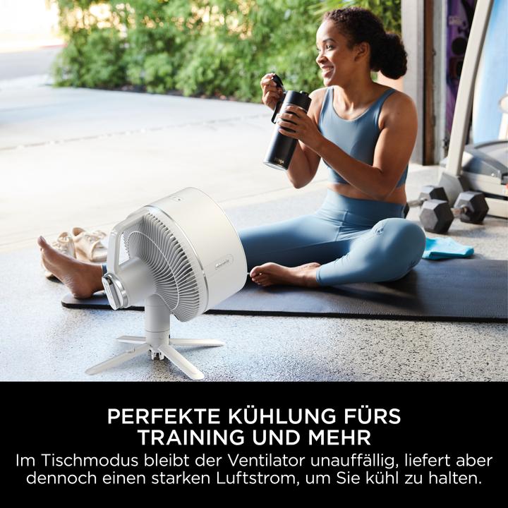 Actual product image Shark FA220EU FlexBreeze (58.70 dB)