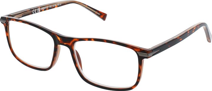 Actual product image Invu Reading glasses 3.00dpt IB62419J (+3)