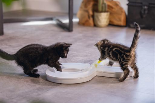 Produktbild Beeztees Bz Kitten Pl Spielschiene Agty