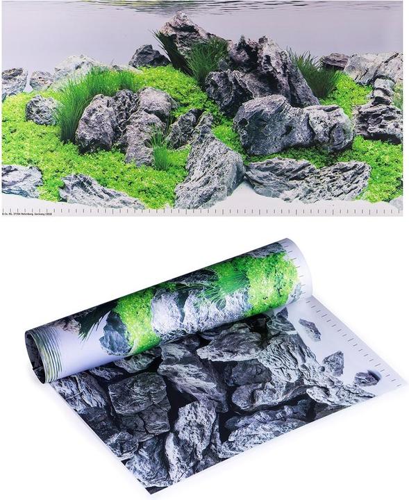 Actual product image Juwel Aquarium Photo back wall 4 size S 60x30cm (other buildings)