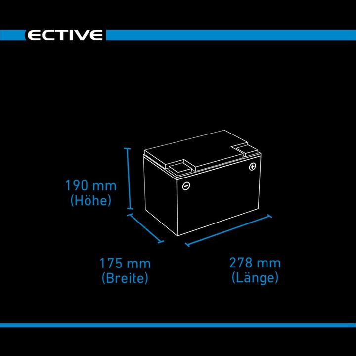 Immagine prodotto Ective 12V 80Ah LiFePo4 Batteria di alimentazione Batteria al litio BMS Camper LFP LT (12 V, 80 Ah)
