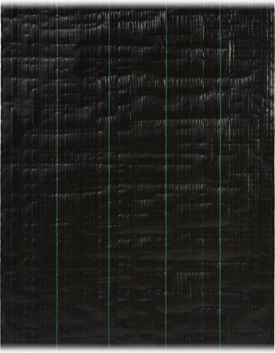 Actual product image Relaxdays Weed film