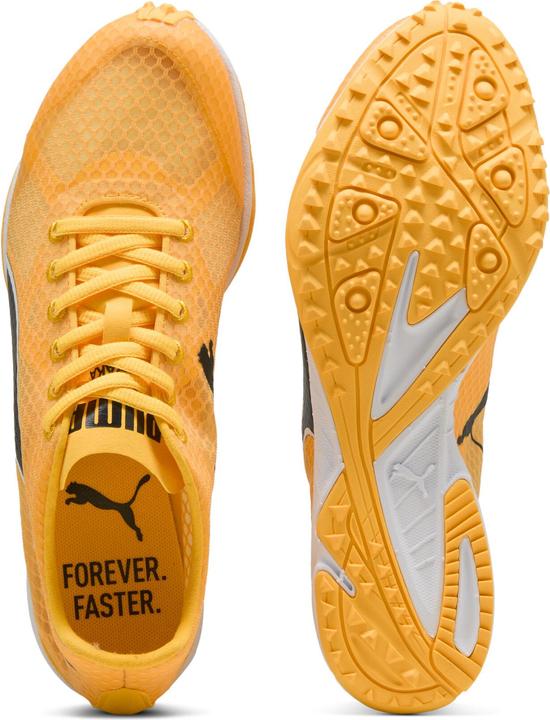 Produktbild Puma evoSPEED Haraka 8 Unisex Spikeless (37)