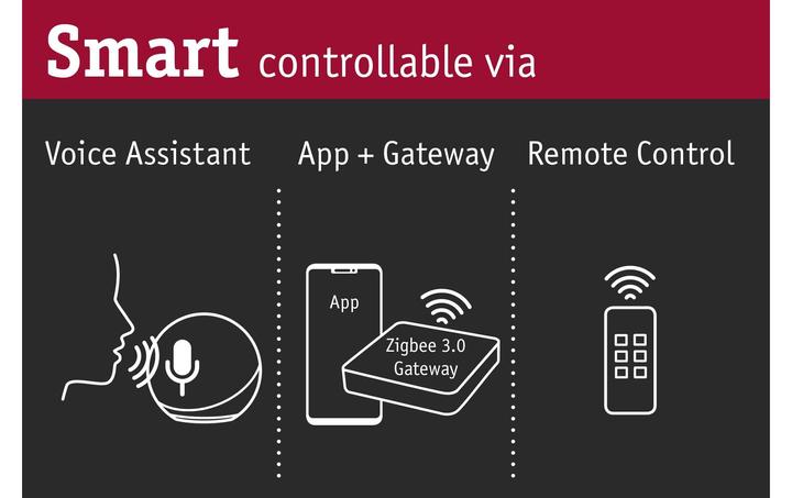 Produktbild Paulmann Smart Home Switch