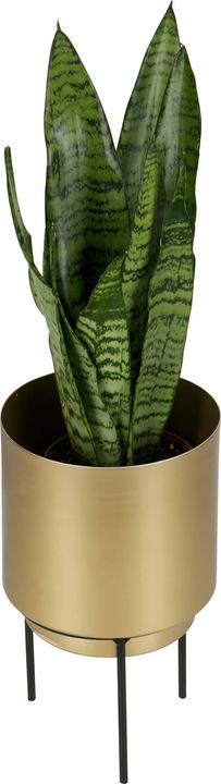 Image du produit BePureHome Pot à plantes Guus métal laiton antique Ø13cm (13 cm)