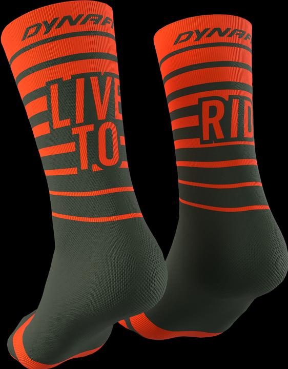 Actual product image Dynafit Live To Ride Socks (39 - 42)