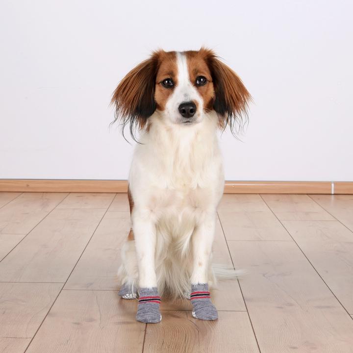 Actual product image Trixie Dog socks (XS, S, Dog socks)