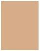 Produktbild Shiseido Sports BB Fluid SPF50+ (Medium Dark)