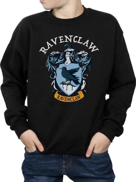 Produktbild Sweatshirt Jungen (152, 158)