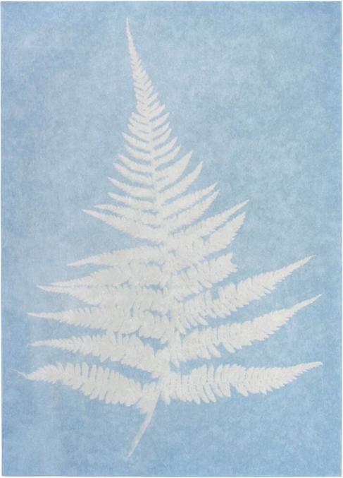 Produktbild Sonnendruck-Papier