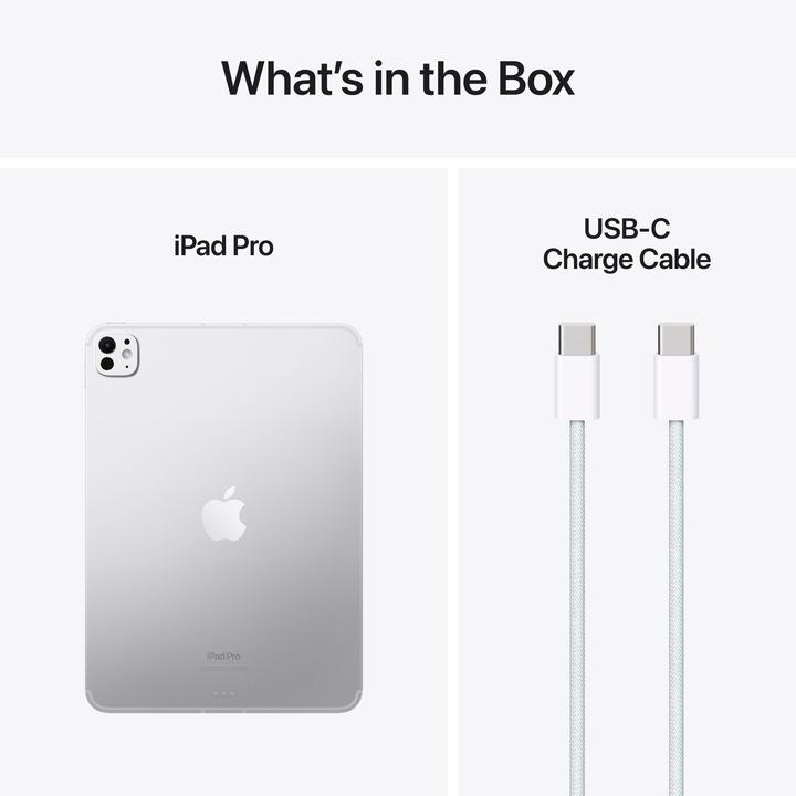 Immagine prodotto Apple iPad Pro 2024 11 Nanotexturglass (M4) (5G, 11", 2000 GB, Argento)