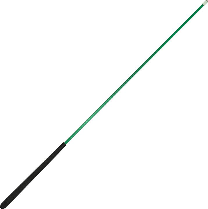 Actual product image Sportime Billiard Cue Fibreglass