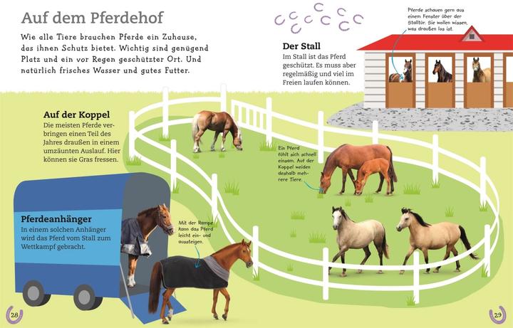 Image du produit Pferde und Ponys (Allemand, DK Verlag - Enfants, 2019)