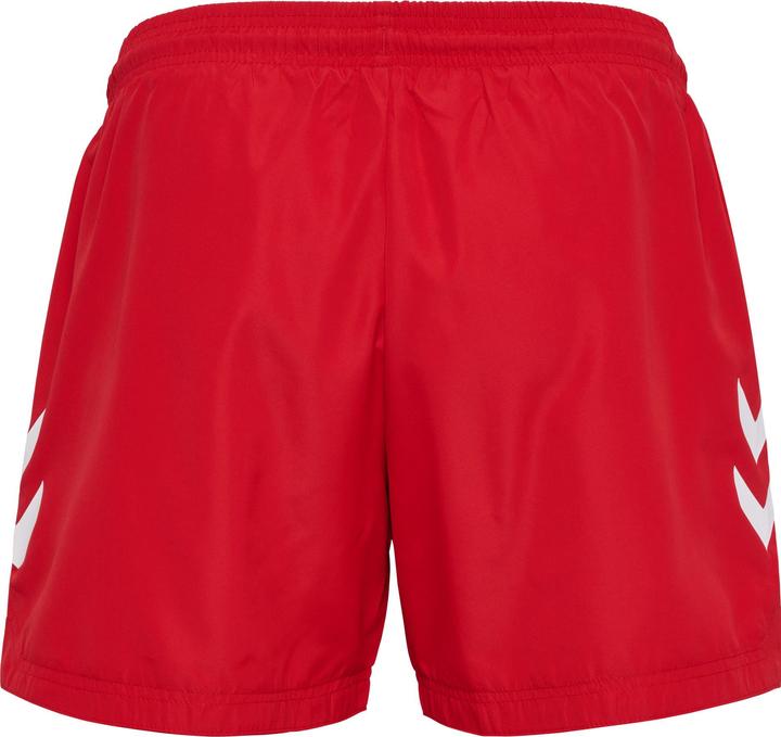 Actual product image hummel hmlLGC NED SWIM SHORTS (M)
