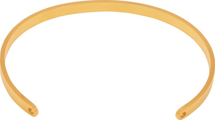 Produktbild Heideman Brave goldfarben (100% Edelstahl)