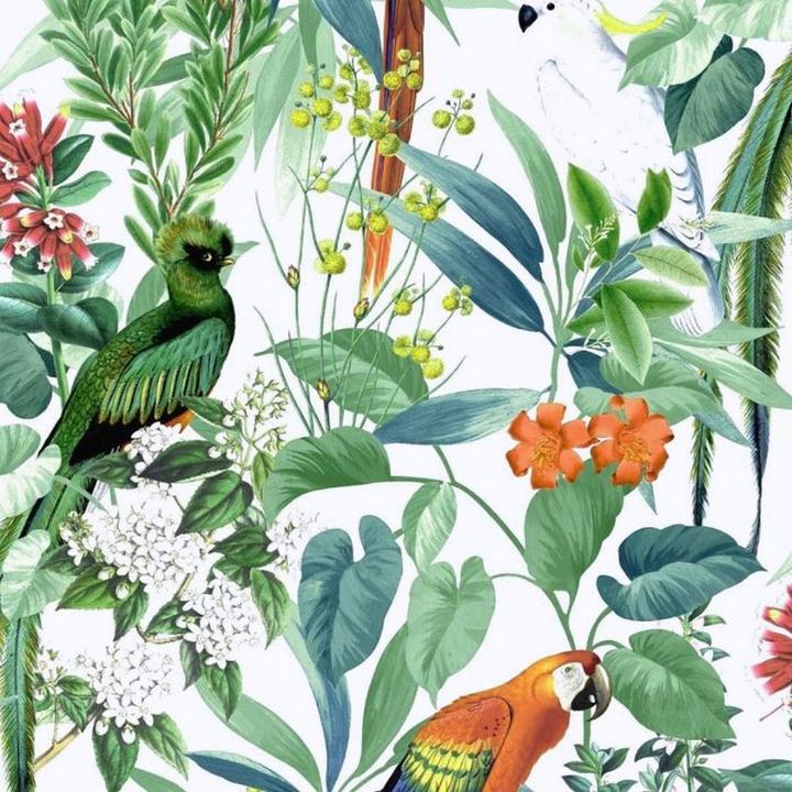 World of Wallpaper - Papier peint IKALA (53,5 x 978,5 cm)