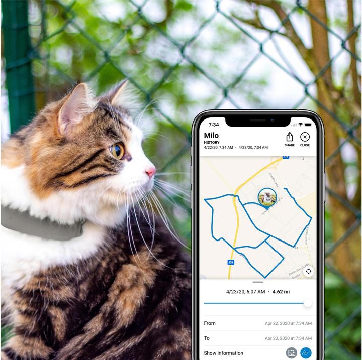 Image du produit Tractive Cat Tracker GPS LTE (Chat, Général)