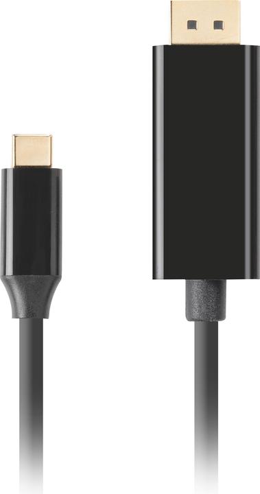 Actual product image Lanberg CA-CMDP-10CU-0005-BK video cable adapter USB Type-C DisplayPort Black (0.50 m, DisplayPort)