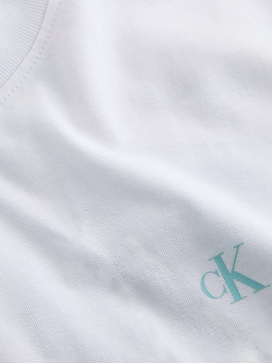Immagine prodotto Calvin Klein Jeans Painted Tee (XL)