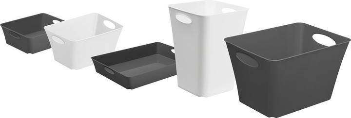 Image du produit Rotho Livingbox (39.5 x 31 x 52.5 cm, 44 l)