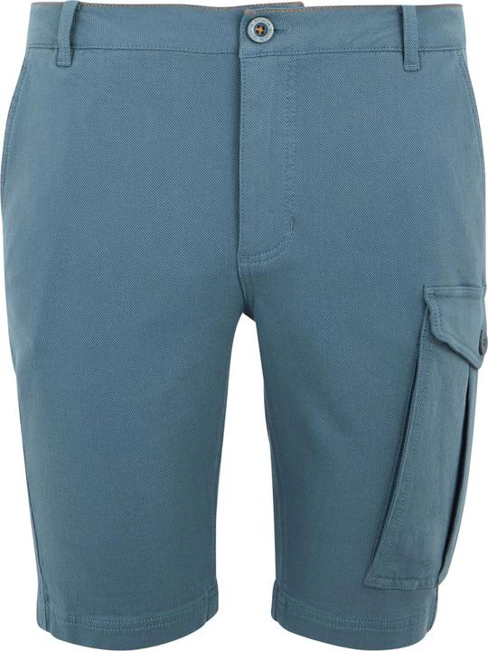 Actual product image Regatta Mens Bendrick Shorts (36)