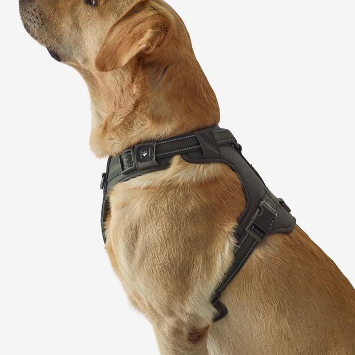 Image du produit Solognac Harnais pour chien 500 Outdoor (S, Chien)