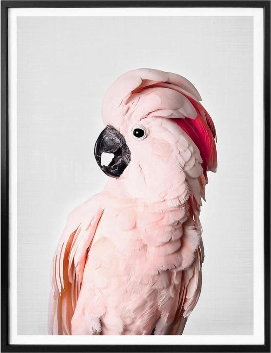 Produktbild Trenddeko Rosa Kakadu (80 x 100 cm)