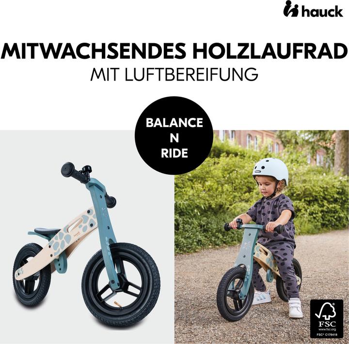Image du produit Hauck Balance N Ride (12")