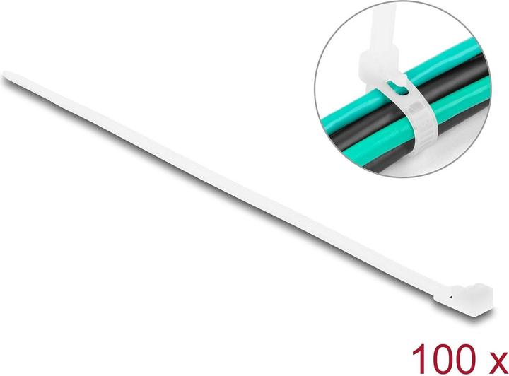 Image du produit Delock Colliers de serrage réutilisables L 200 x l 4,8 mm 100 pièces blanc (Serre-câbles en plastique, 200 mm, 100 pcs)