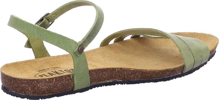 Immagine prodotto Plakton 575080 PISTACIO (40)