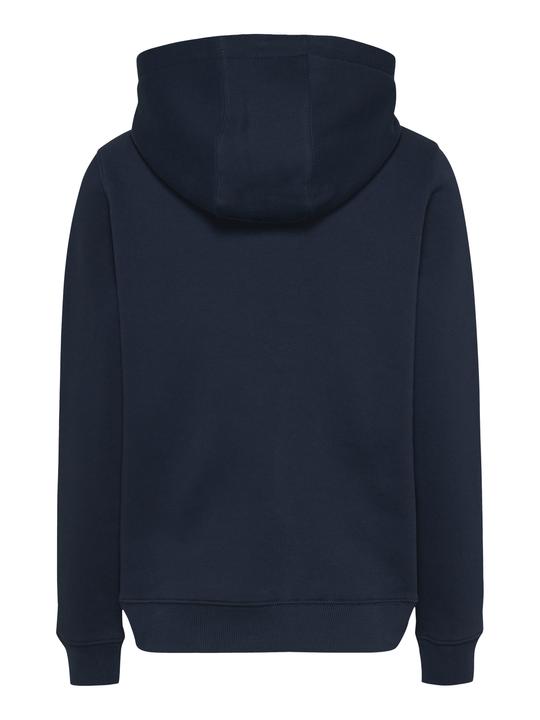 Image du produit Tommy Jeans Tjw Reg Ess Logo Hoodie Ext (XL)