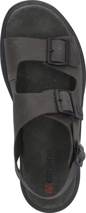 Immagine prodotto Westland 45805-348 (46)