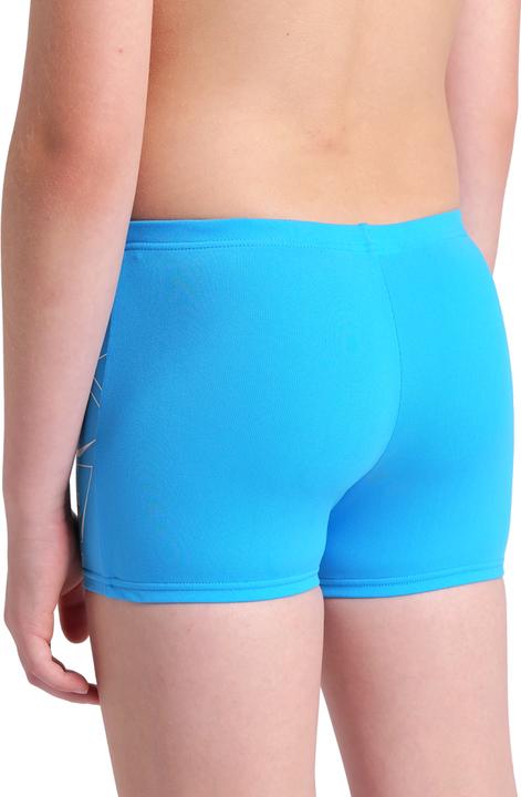 Produktbild Arena B Losange Graphic Swim Short (116)
