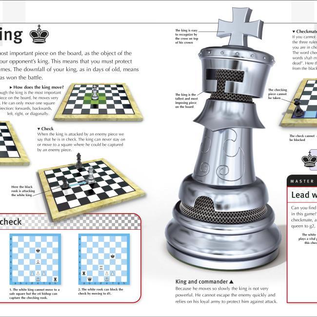 Actual product image How to Play Chess