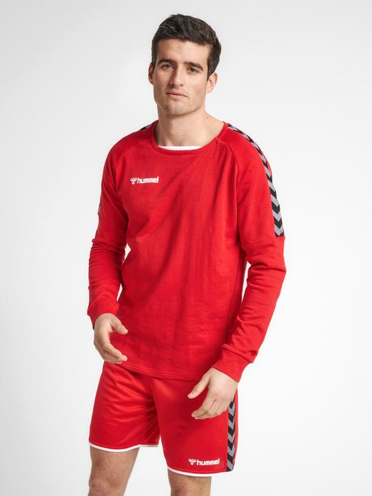 Image du produit hummel Sweat D'Entraînement Authentique (XL)