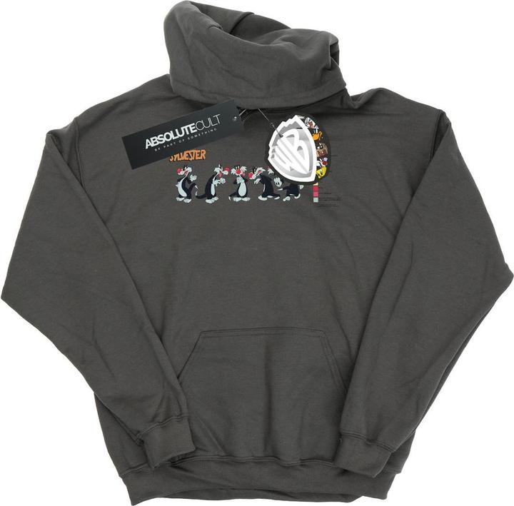 Image du produit Looney Tunes - Sweat à capuche SYLVESTER COLOUR CODE - Homme (S)