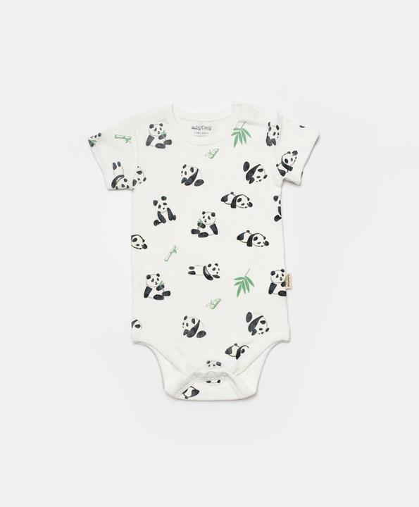 Image du produit BabyCosy Body. manches courtes. 2 Pack (74)