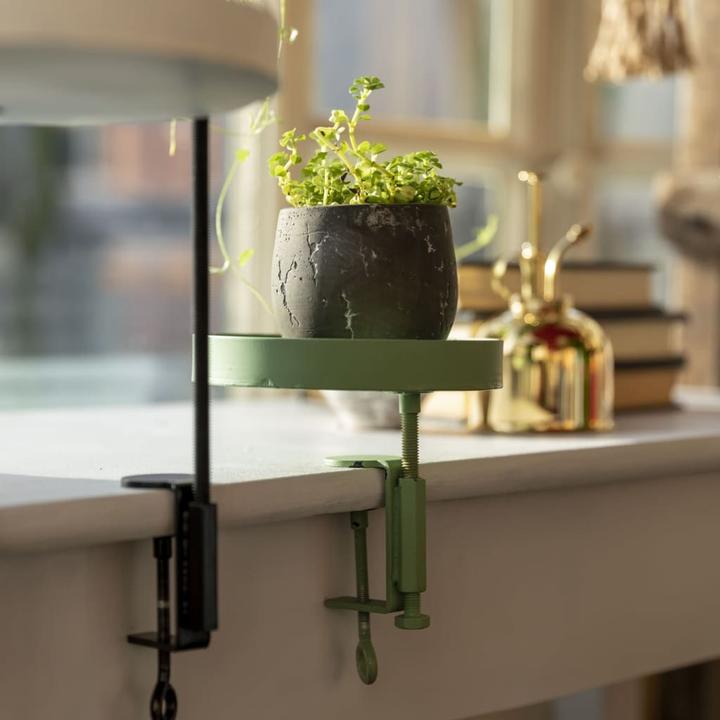 Image du produit Esschert Design Thorn